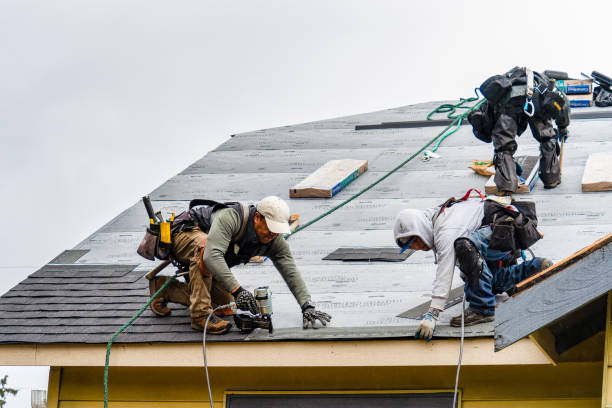 Professional Emergency Roof Repair technician working in Carver, MA